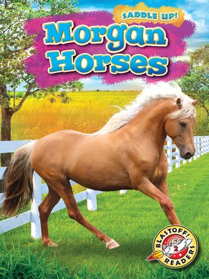cover image of Morgan Horses